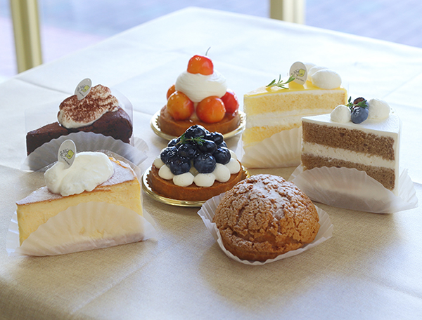 季節に合わせた<br>月替り特集！